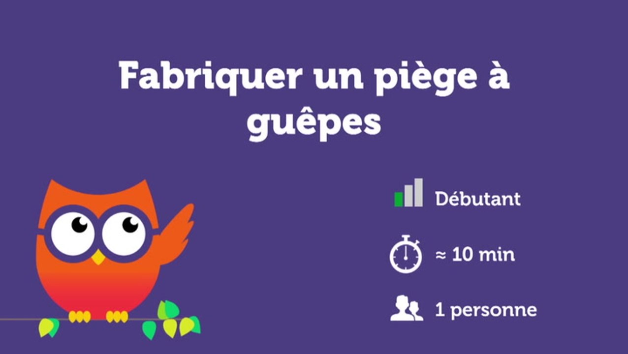 Fabriquer un piège à guêpes