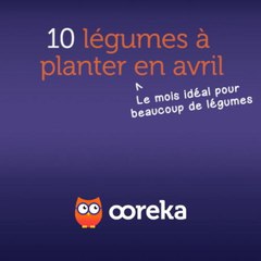 10 légumes à planter en avril