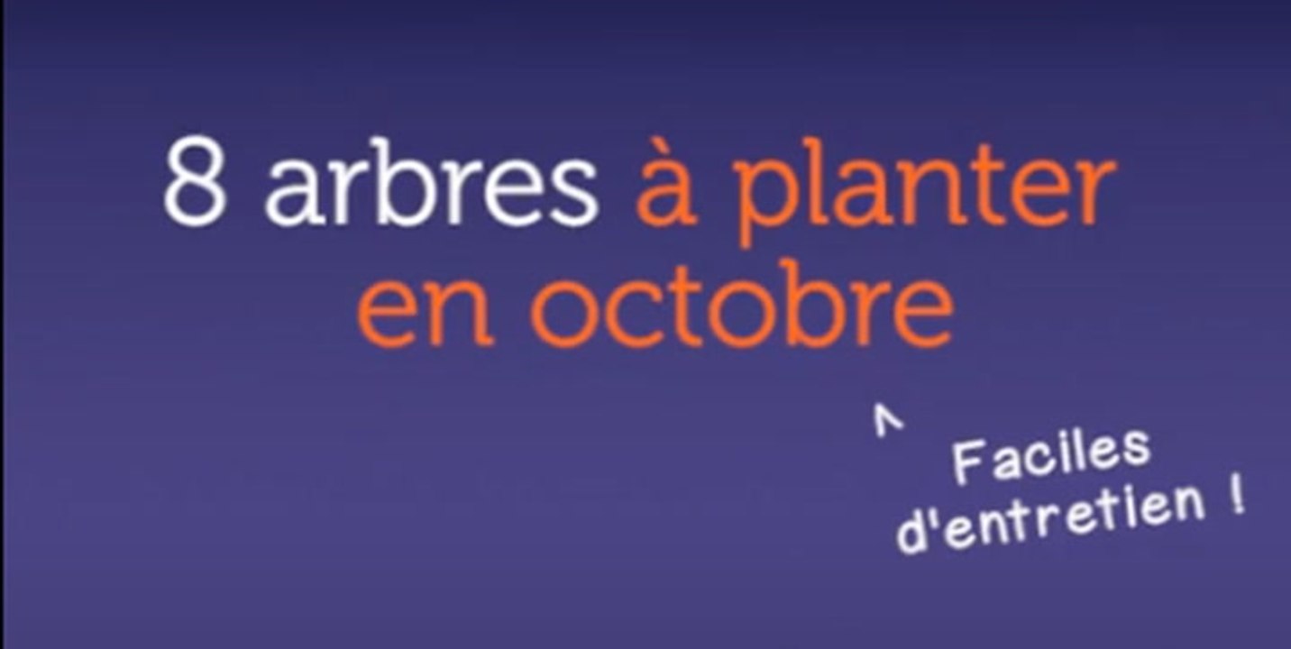 8 arbres à planter en octobre