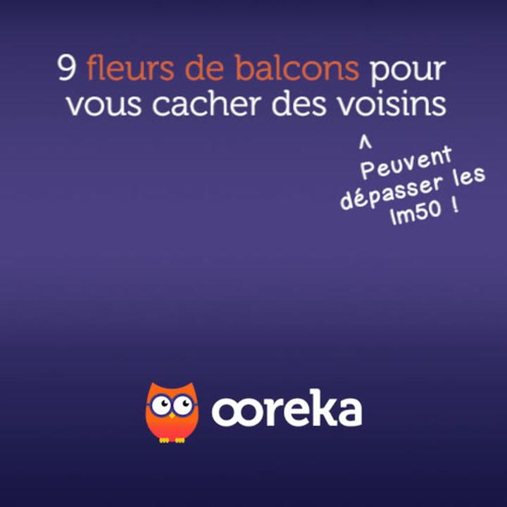 9 fleurs de balcons pour vous cacher des voisins