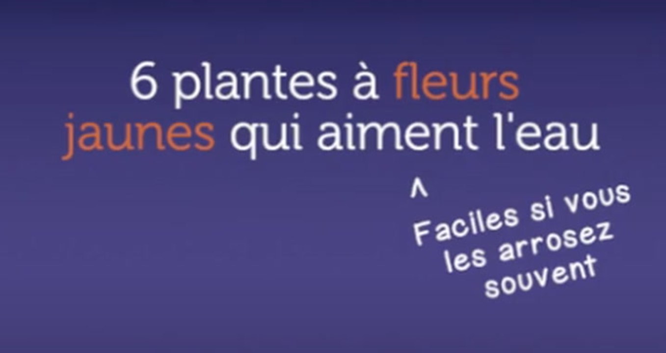 6 plantes à fleurs jaunes qui aiment l'eau