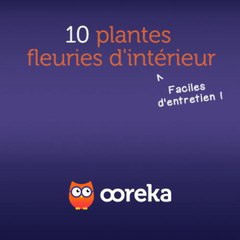 10 plantes fleuries d'intérieur