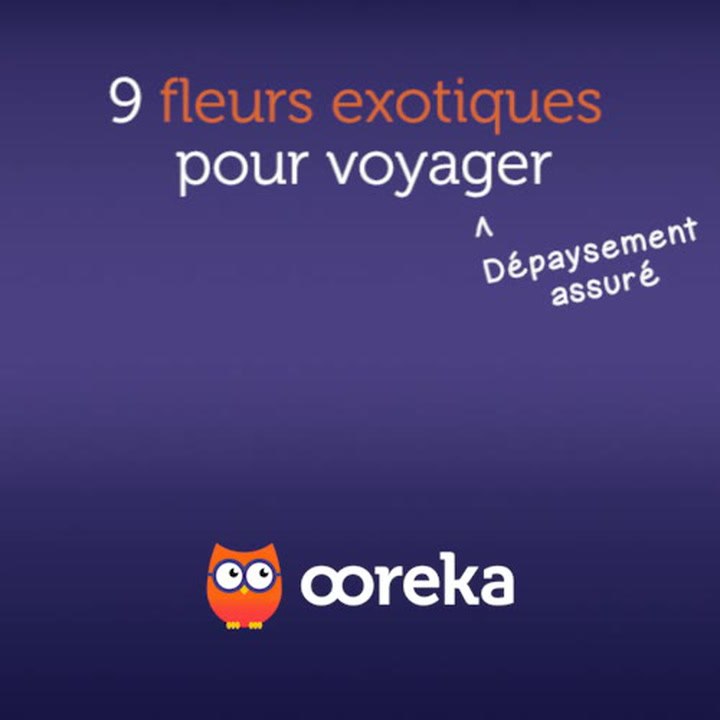 9 fleurs exotiques pour voyager