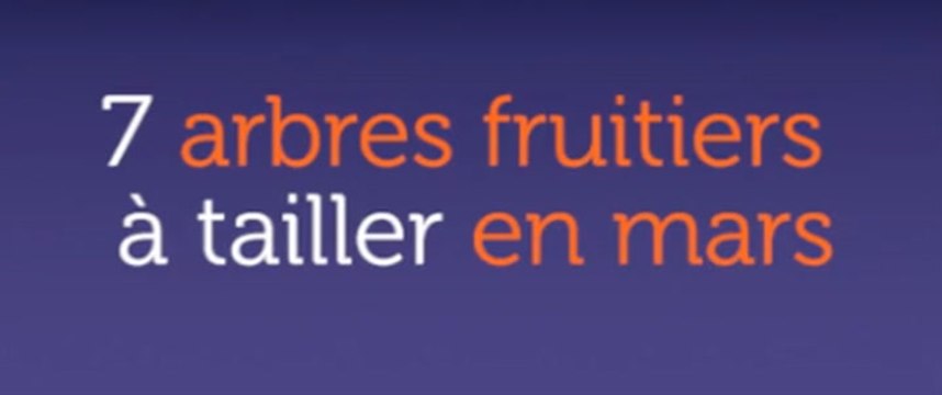 7 arbres fruitiers à tailler en mars