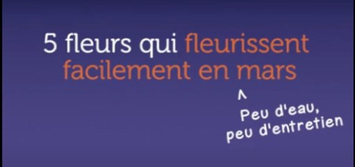 5 fleurs qui fleurissent facilement en mars