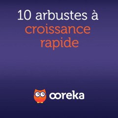 10 arbustes à croissance rapide