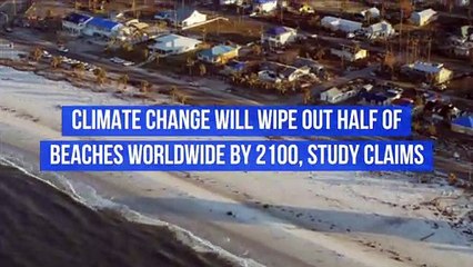 Climate Change Will Wipe out Half of Beaches Worldwide by 2100, Study Claims