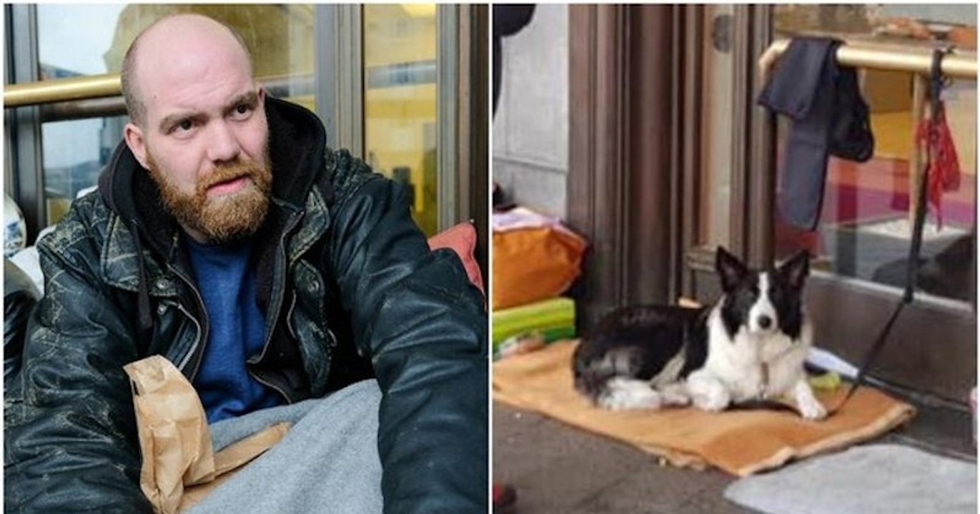 À Bruxelles, un SDF qui s'était fait voler son chien, reçoit un chiot de la part d'un groupe de jeunes