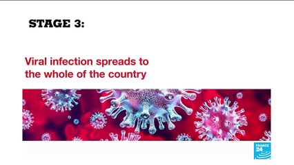 French government warns coronavirus epidemic could reach 'stage 3': What does it mean exactly?