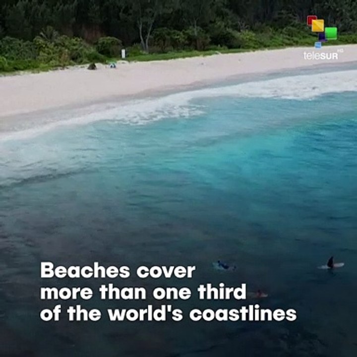 Half Of The World’S Beaches Could Disappear By The End Of The Century