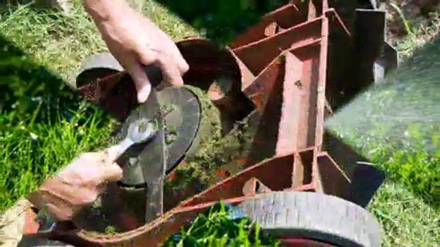 T & L Services - (252) 219-0168