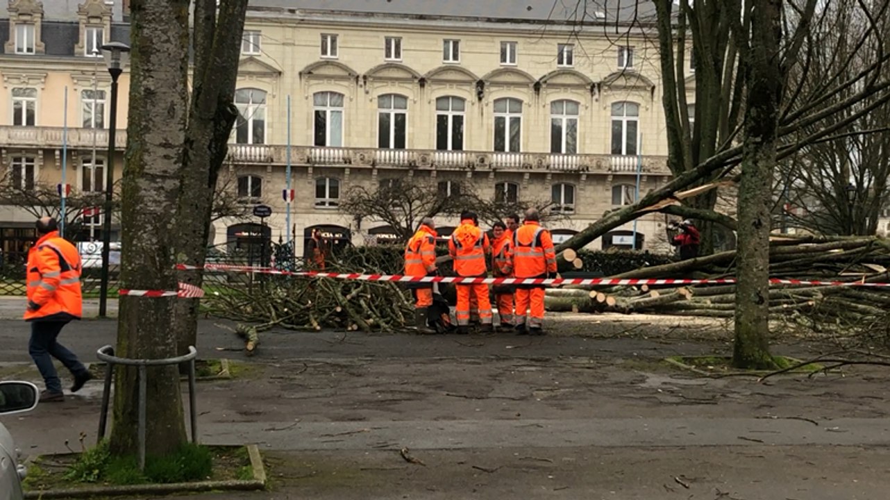Vents violents à Laval : deux arbres tombés place du 11-Novembre