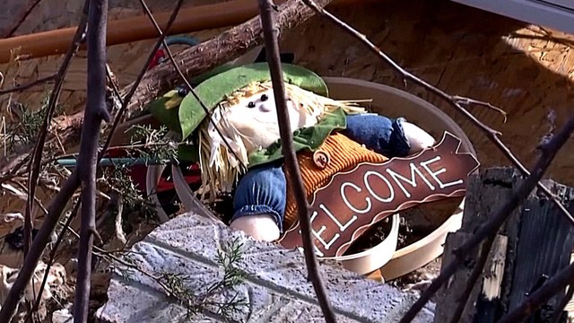 Tennessee tornadoes: Dozens killed, many missing in US state