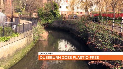 GOODLINES: 6th March 2020