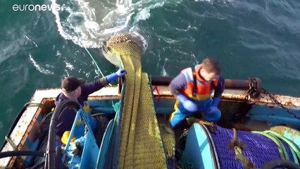 Marejada en la negociación pesquera entre el Reino Unido y la UE