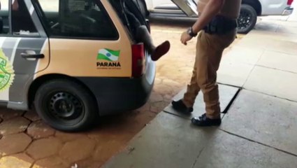 Fugitivo da Cadeia Pública de Cascavel é recapturado em Santa Tereza do Oeste