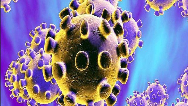 Does alcohol kill coronavirus? Here's what experts believe
