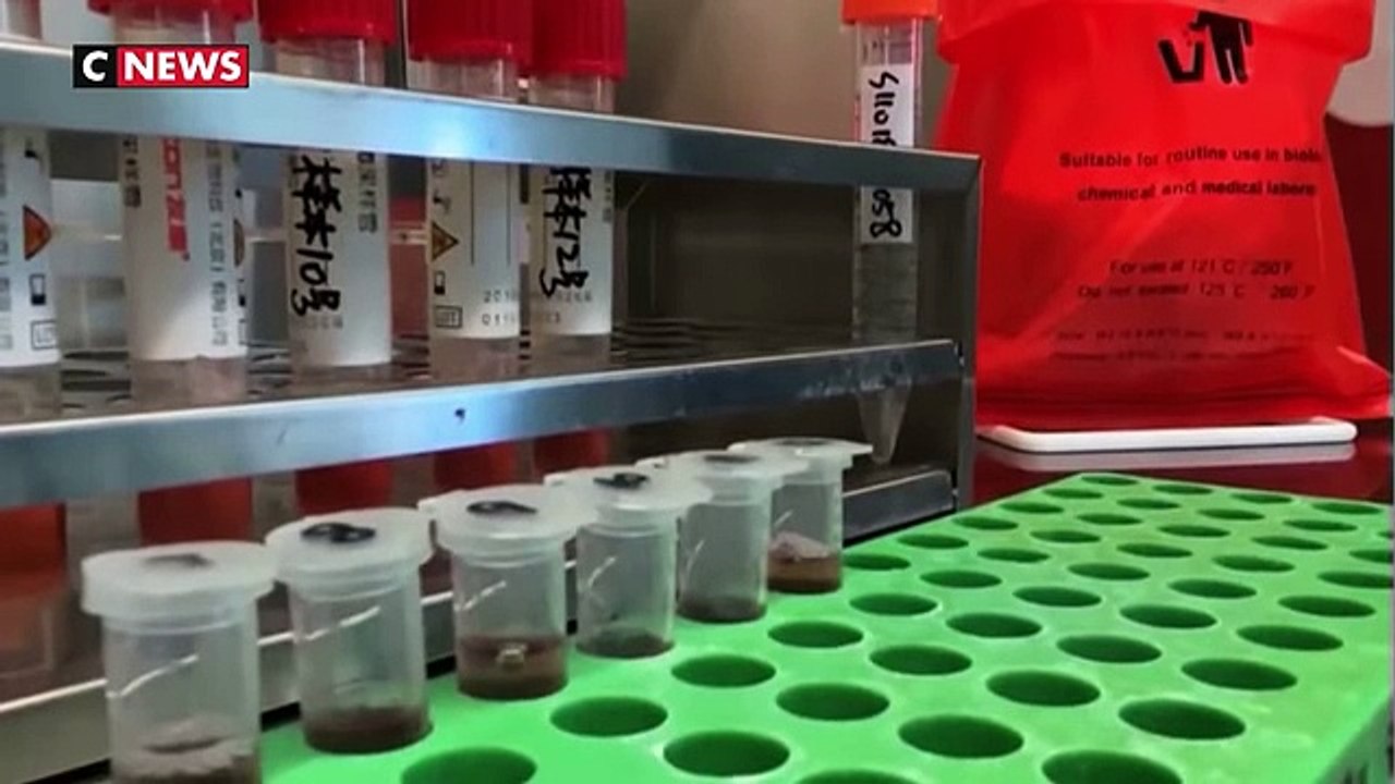 Coronavirus - Un traitement efficace