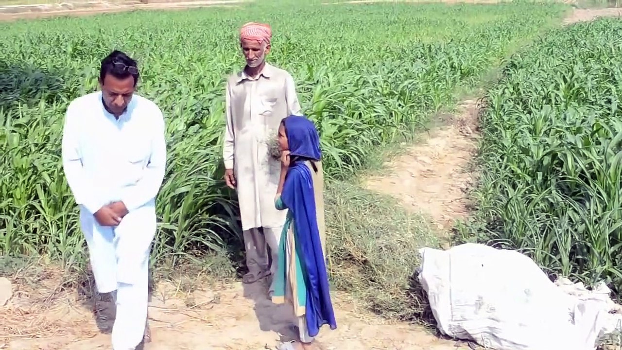 An old man seeks help to feed his Childrens ---A step to bring love and happiness--