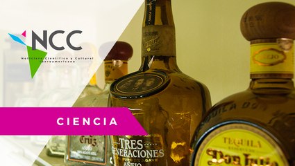 Investigadora mexicana desarrolla parámetros para certificar la calidad del tequila