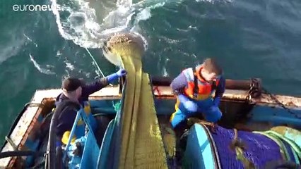 A batalha das pescas do Brexit