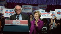 Sanders Condemns 'Ugly, Personal Attacks' Against Elizabeth Warren