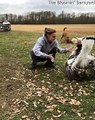 Adorable Turkey Loves Giving Out Hugs