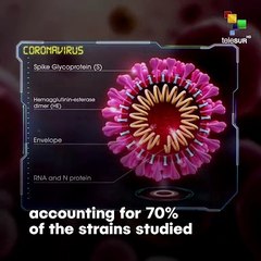 Scientists Found Two New Types Of The Coronavirus