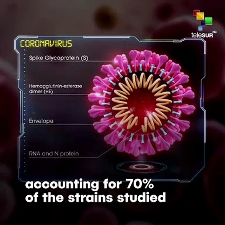 Scientists Found Two New Types Of The Coronavirus