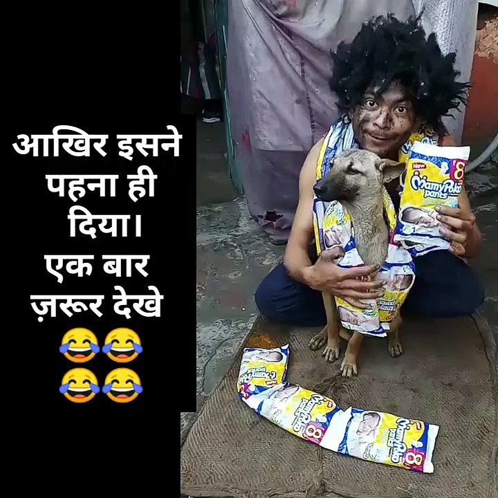 Funny video