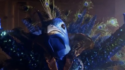 14 Things You Didn't Know About 'The Masked Singer'