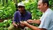 La vanille de Guadeloupe médaille d'or au Concours Général Agricole 2020