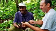 La vanille de Guadeloupe médaille d'or au Concours Général Agricole 2020