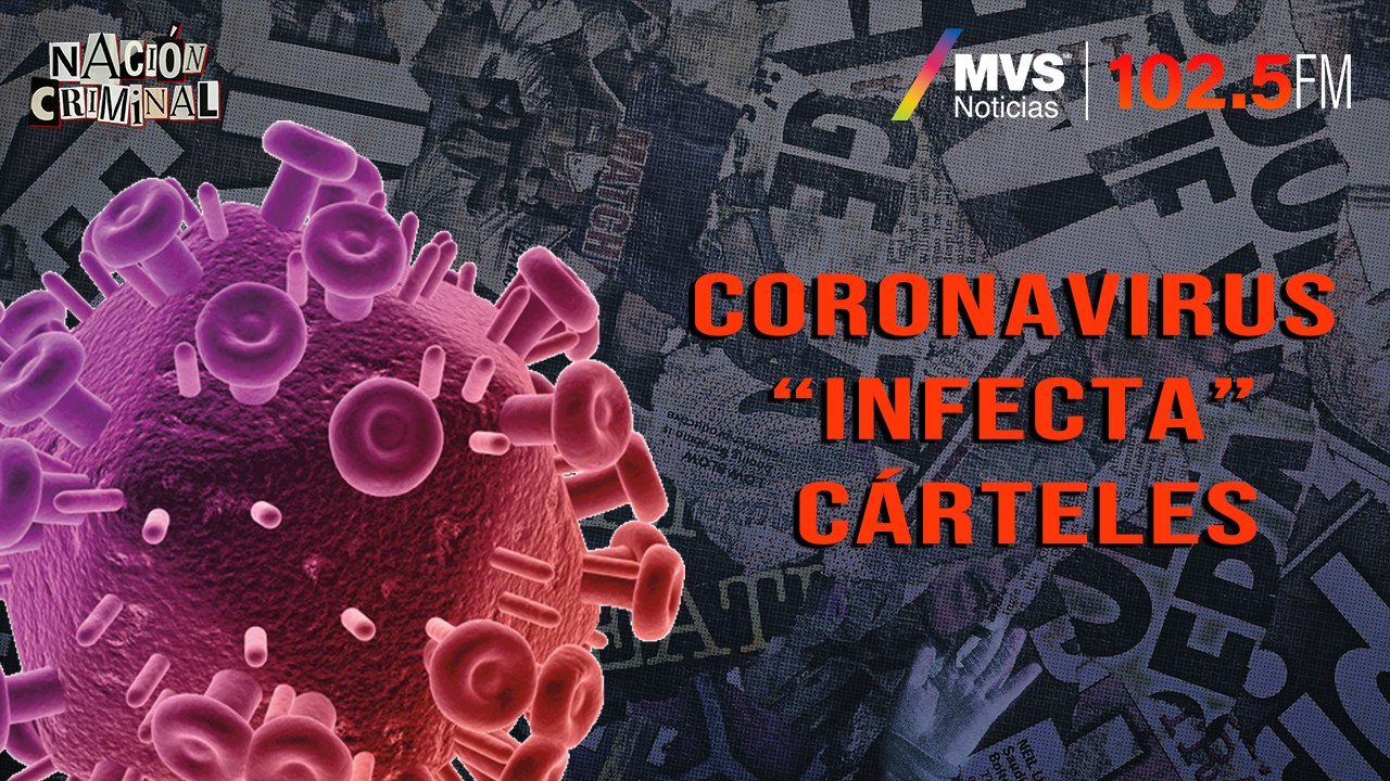 Coronavirus “infecta” cárteles