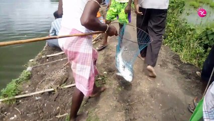 Big Catla Fishing at Taat Pukur Boso Dhonekhali | Rozina’s Club