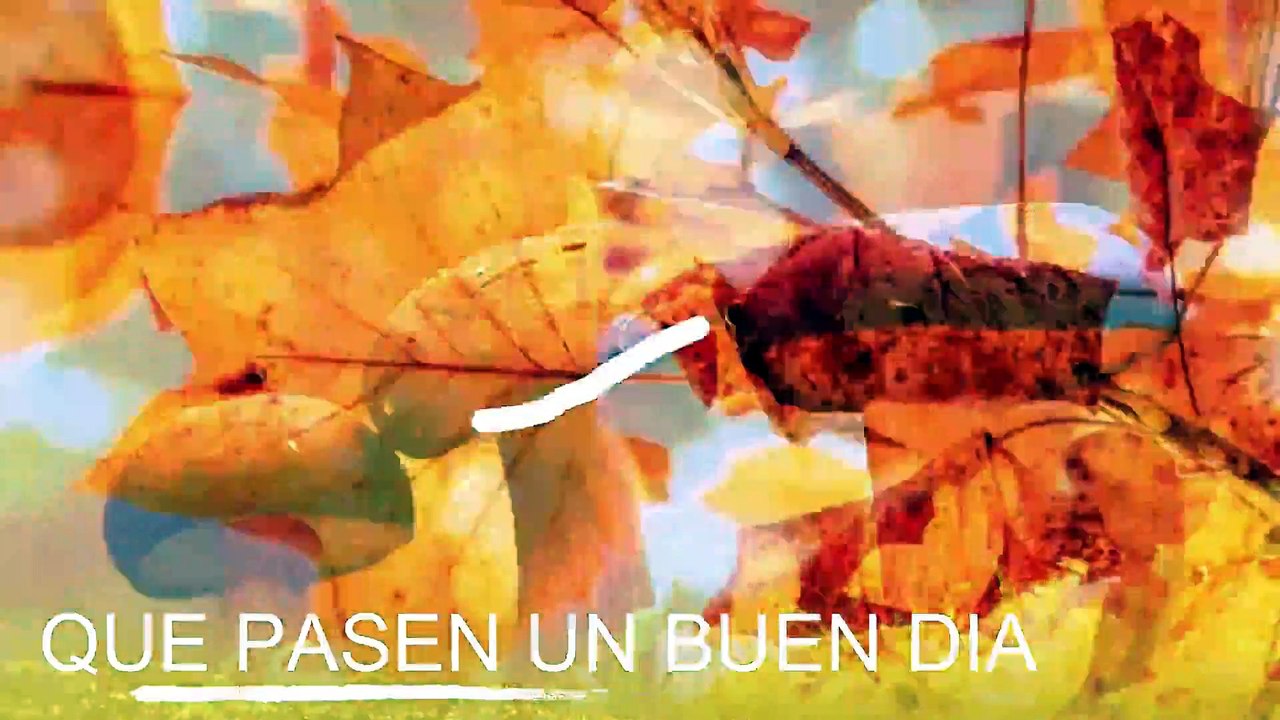 Conoce El Tiempo de Hoy Viernes 6 de Marzo de 2020