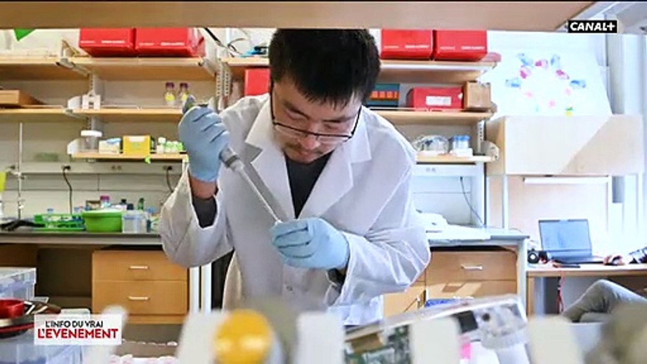 Virus - Mais où en sommes-nous vraiment dans la recherche du vaccin et comment travaillent les laboratoires pour aller vite ?