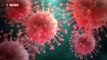 Virus - Quels sont les pays qui sont encore épargnés par l'épidémie de coronavirus dans le monde ? - VIDEO