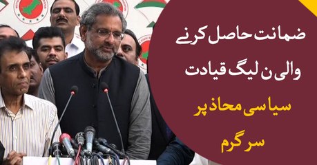 PML-N delegation speeds up political activities