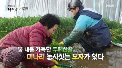 억척 어매와 순둥이 아들의 미나리 대첩