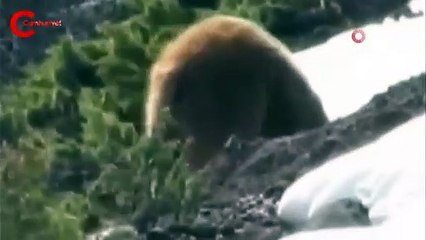 Tunceli'de böyle görüntüledi! Uyarılarda bulundu