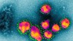 Coronavirus : कोरोना वायरस रूप बदलने की वजह से ज्यादा खतरनाक | Coronavirus Change | Boldsky
