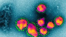Coronavirus : कोरोना वायरस रूप बदलने की वजह से ज्यादा खतरनाक | Coronavirus Change | Boldsky