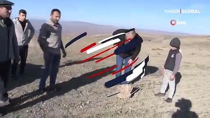 Tarlada buldu, banka kasasında sakladı! Değerini verene satacak