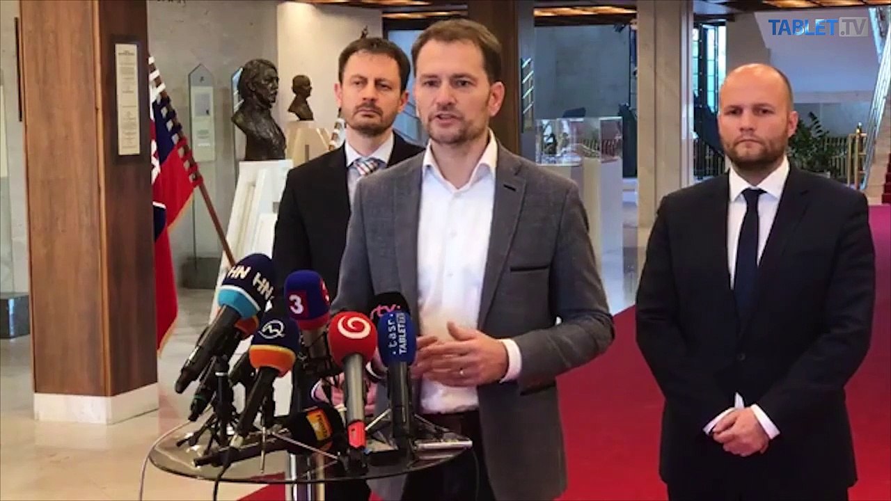 ZÁZNAM: TK strany Sloboda a Solidarita