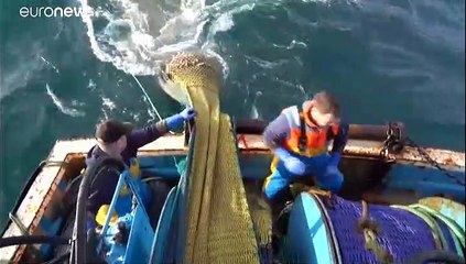 Les zones de pêche, un enjeu crucial au cœur des négociations entre la Grande-Bretagne et l'UE