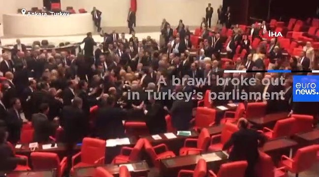 Watch: Brawl in Turkish parliament over military action in Syria