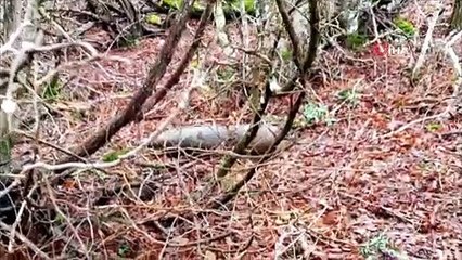 Malkara'da 3 gün arayla ikinci kez patlamamış tank topu mühimmatı bulundu