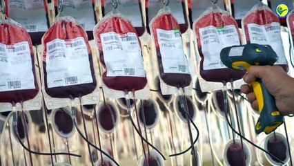 الدم الذهبي ؟ أندر فصيلة دم في العالم