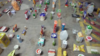 Assaf Shaham: Taste of the Wild / Spring/Break Art Show Los Angeles 2020